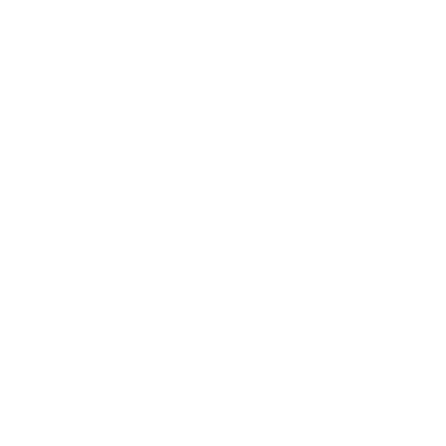 Containertank ADR 1000 L – 3000 L