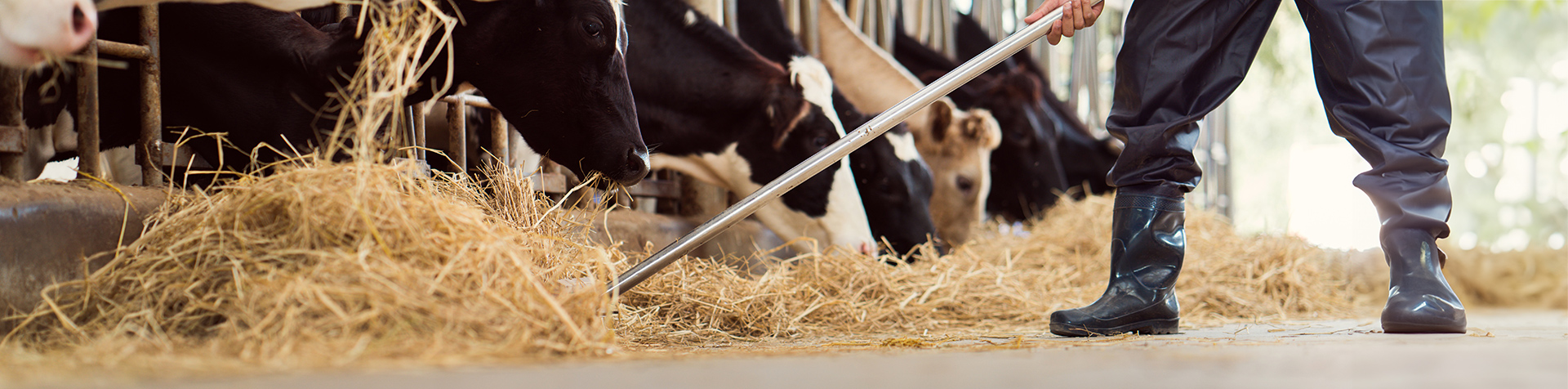 Kundreferens – lantbruk