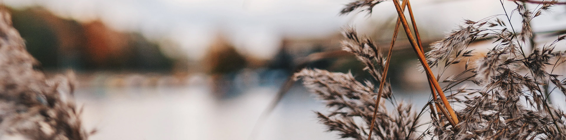 Kundreferens – Roslagens Sjövärnskår